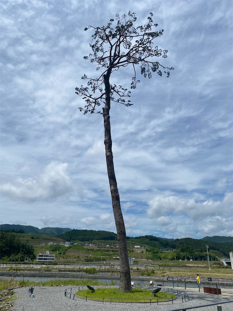 津波の脅威と奇跡の一本松 - Ronチャリダーの旅行記