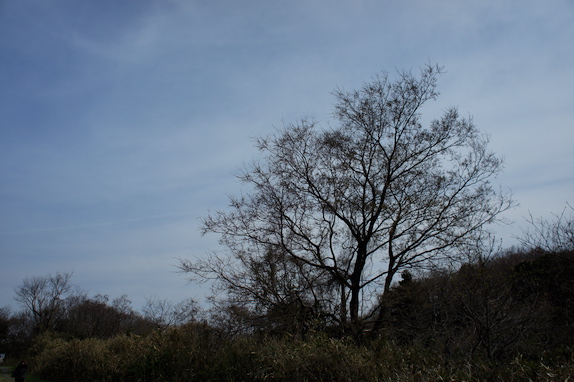 f:id:Room-B:20120415150750j:plain