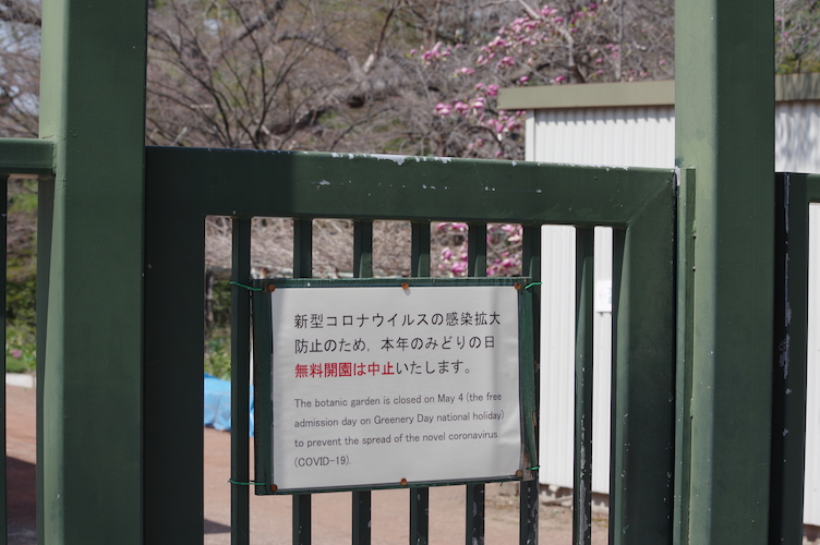 f:id:Room-B:20200502104042j:plain