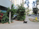 f:id:Room201:20110623130914j:image f:id:Room201:20110623130914j:image