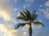 f:id:Room201:20110623135122j:image f:id:Room201:20110623135122j:image