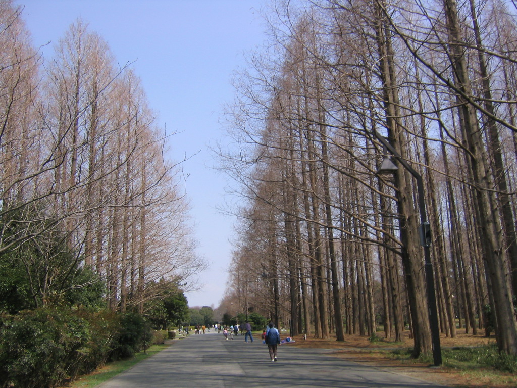 f:id:Root1_Atsushi_Saito:20170315084904j:plain f:id:Root1_Atsushi_Saito:20170315084904j:plain