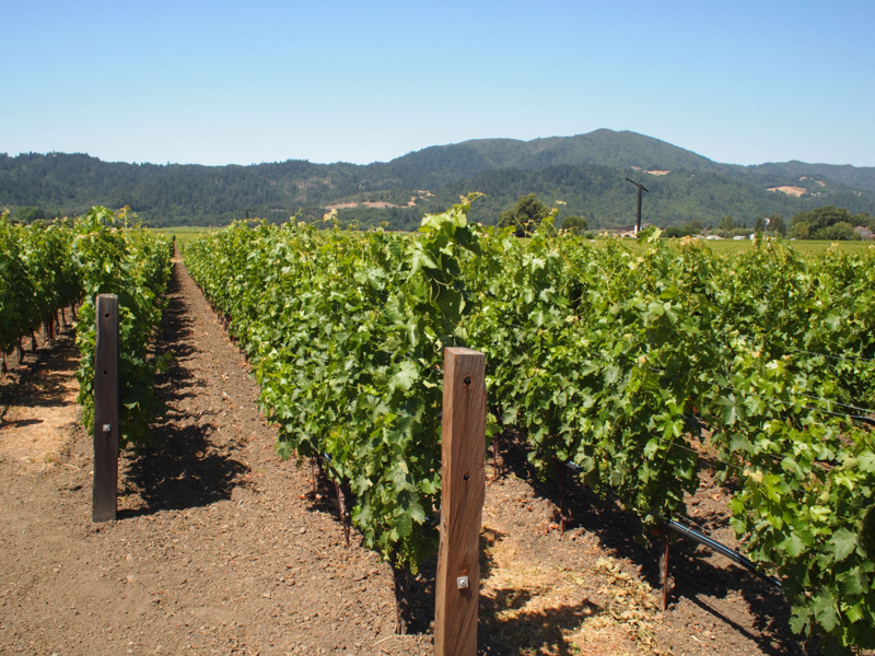 f:id:Rootport:20140706180217j:image f:id:Rootport:20140706180217j:image