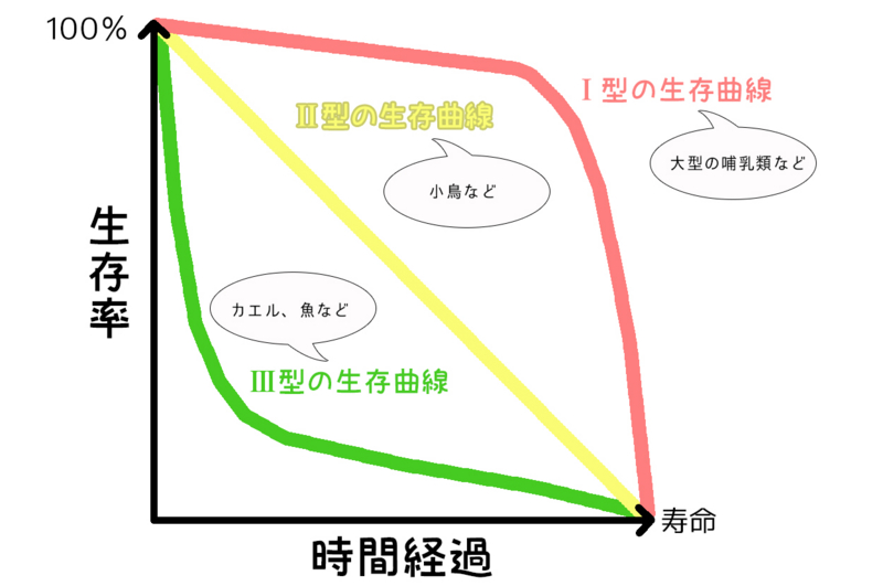f:id:Rootport:20141013222723j:plain