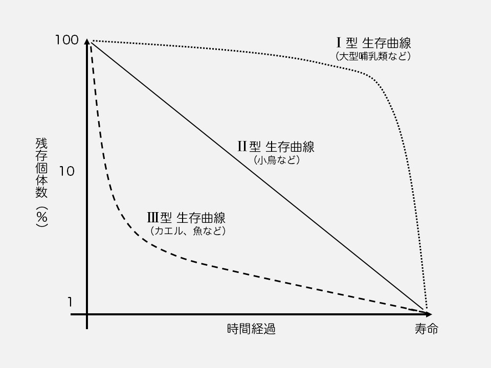 f:id:Rootport:20160117213827j:plain