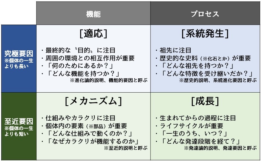 f:id:Rootport:20160622125109j:plain f:id:Rootport:20160622125109j:plain