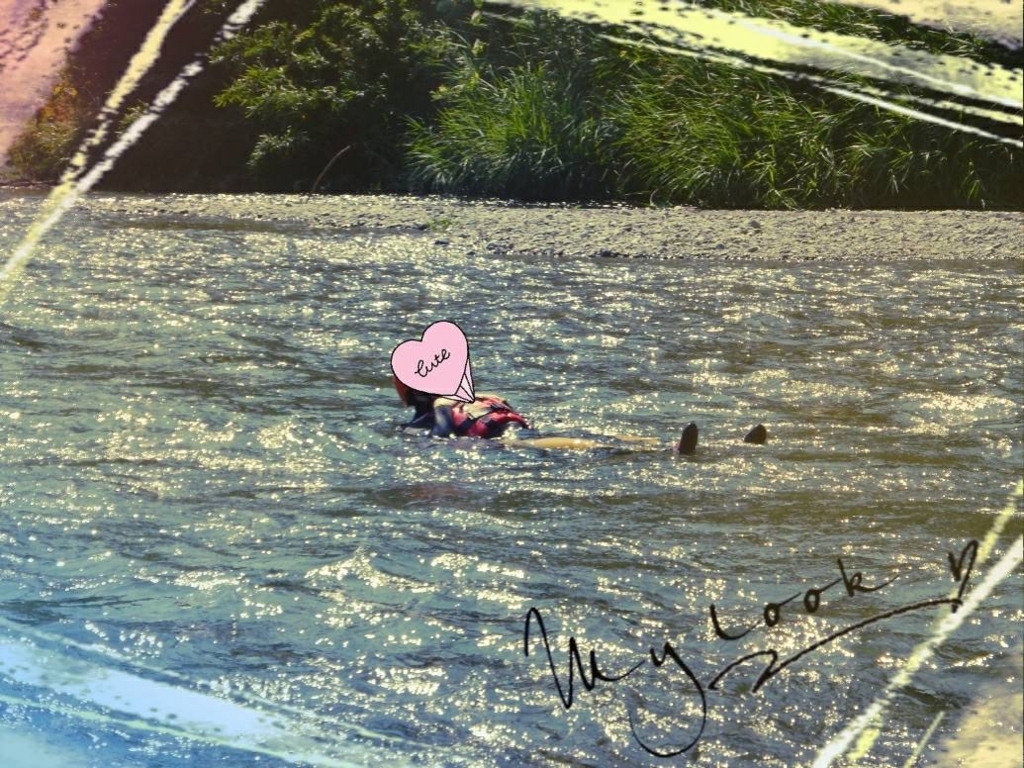 f:id:Roro1:20170713120102j:plain