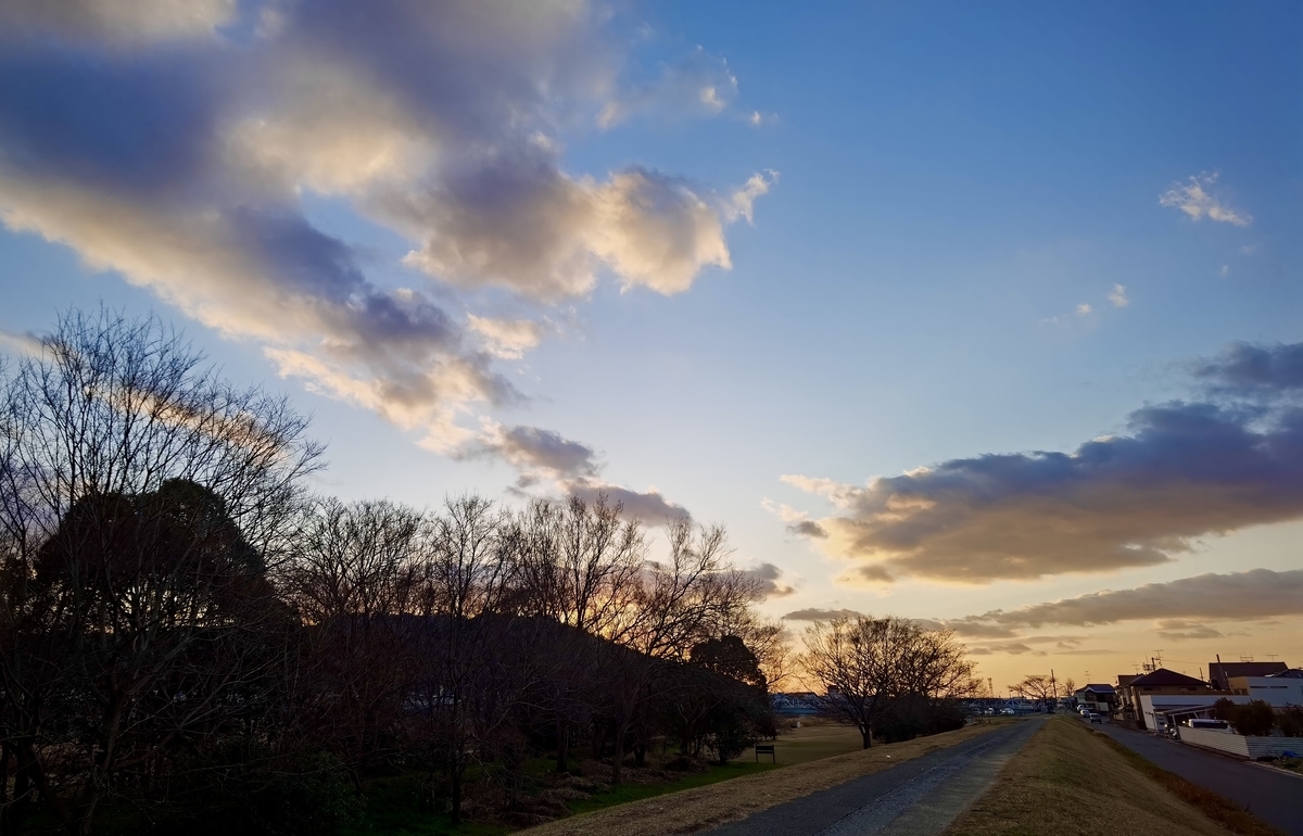 f:id:RoronoaZoro2:20210225141730j:plain