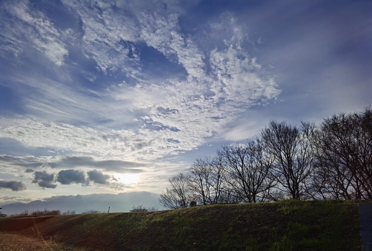 f:id:RoronoaZoro2:20210228223625j:plain