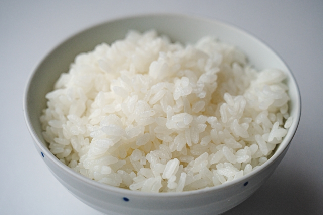 f:id:RosaRodahn:20220406082925j:plain