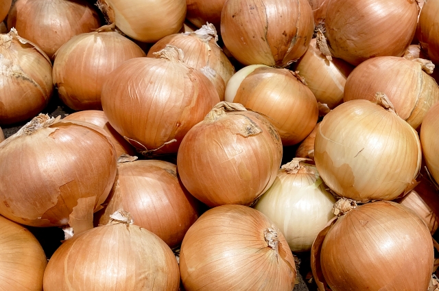 f:id:RosaRodahn:20220406082931j:plain