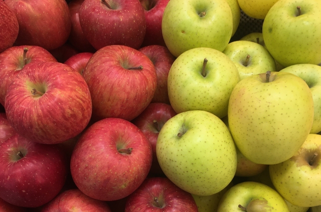 f:id:RosaRodahn:20220406082937j:plain