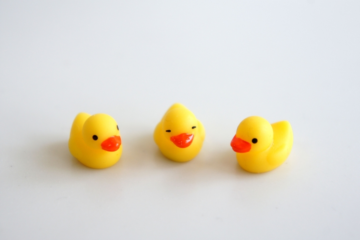 f:id:RosaRodahn:20220410135032j:plain