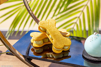 「Snoopy Summer Beach Time」