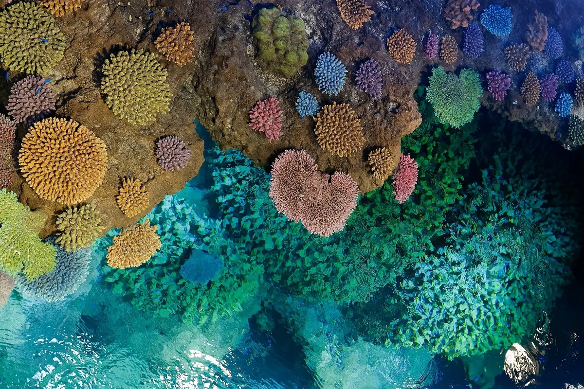 海遊館 飼育員による特別講演会