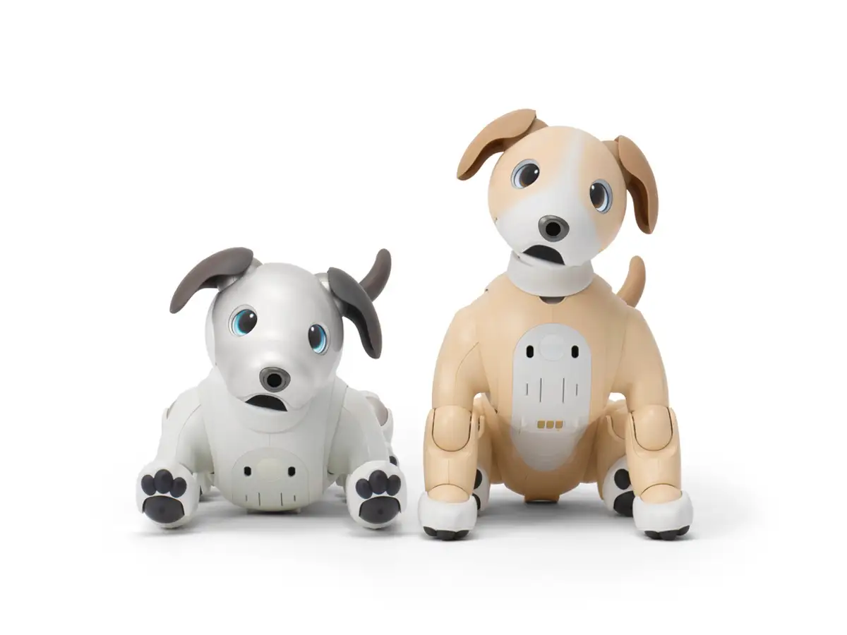 aibo