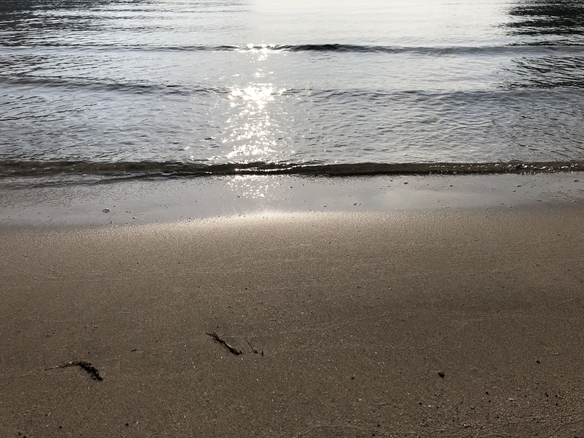 f:id:Rouble:20190503172815j:plain