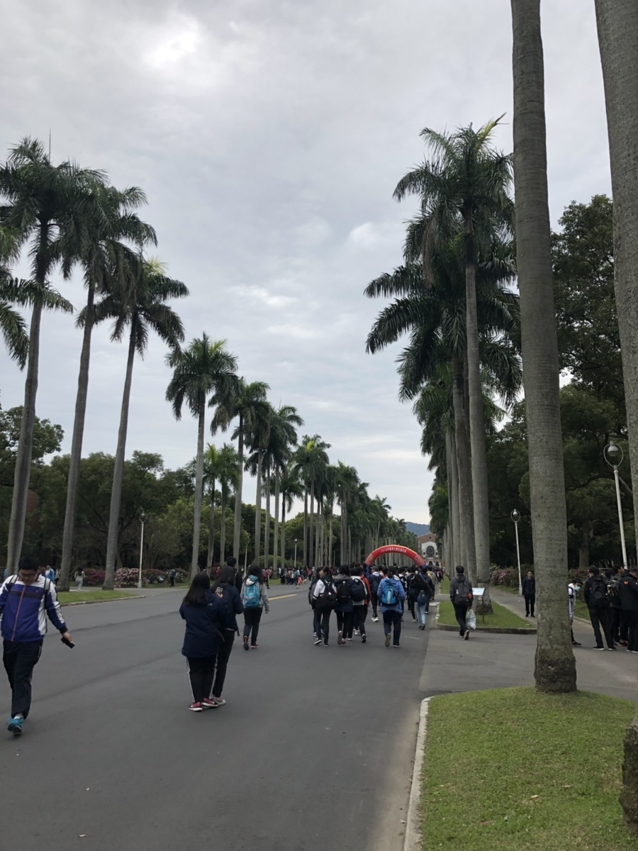 f:id:Rua_Rua_mec:20190327193433j:plain