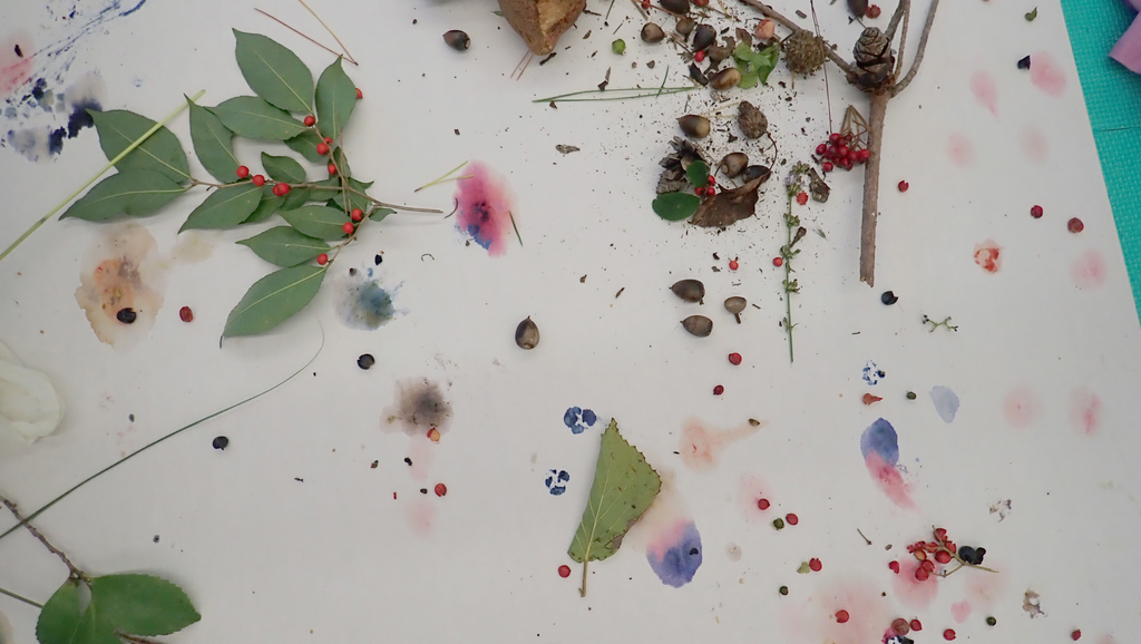 f:id:Rubus_hirsutus:20181008215554j:plain f:id:Rubus_hirsutus:20181008215554j:plain