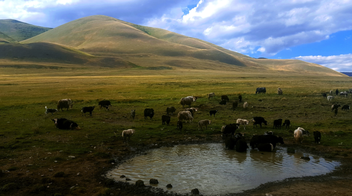 f:id:Ruchien:20190521214739p:plain