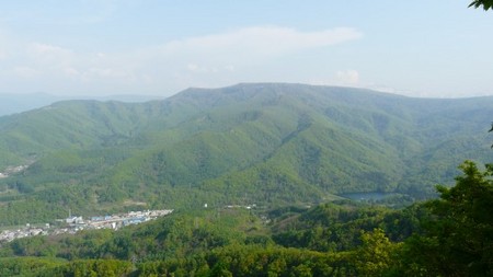 f:id:Rufard:20080518012117j:image