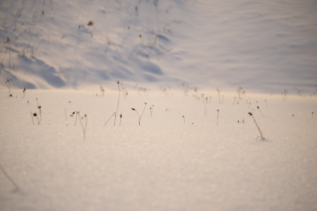 f:id:Rufard:20101225012634j:image f:id:Rufard:20101225012634j:image
