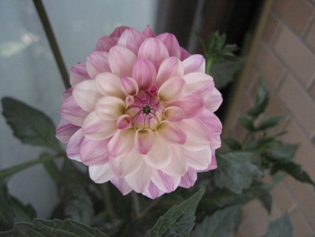 f:id:Rumba:20120728112516j:image f:id:Rumba:20120728112516j:image