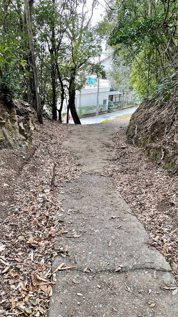 f:id:RunTazzo:20220224104136j:image