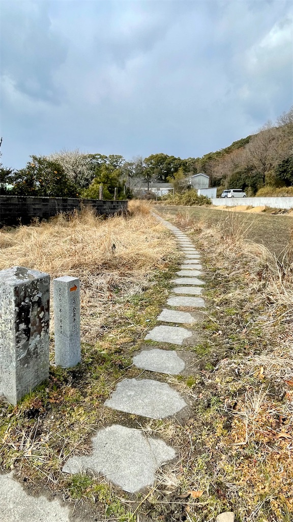 f:id:RunTazzo:20220224104336j:image