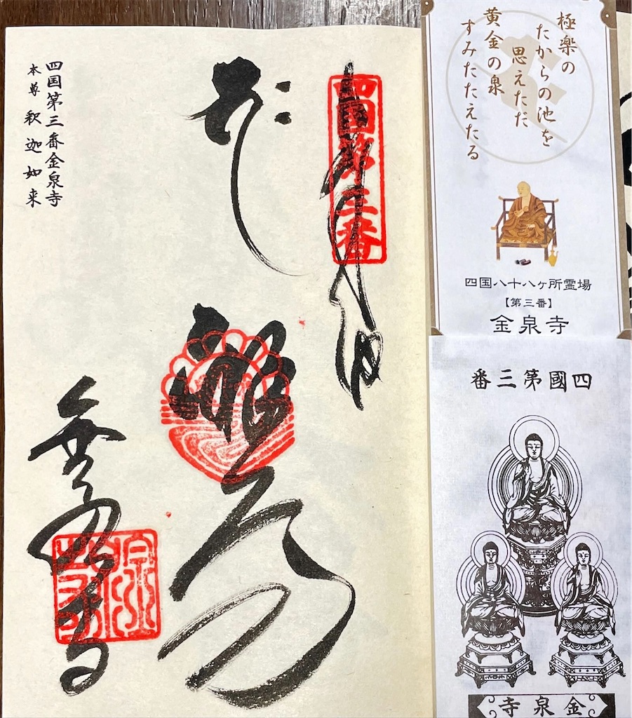 f:id:RunTazzo:20220224115016j:image