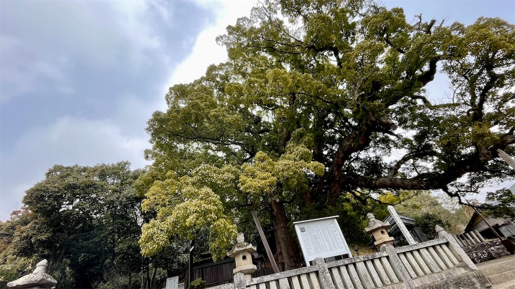 f:id:RunTazzo:20220224115225j:image