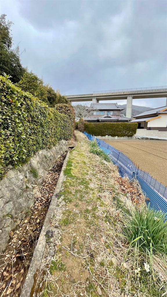 f:id:RunTazzo:20220224120845j:image