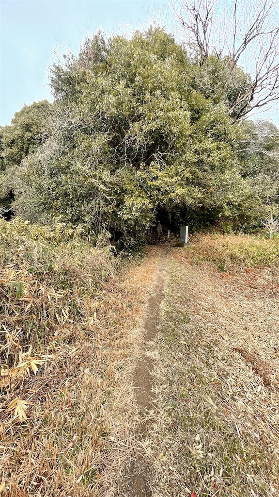 f:id:RunTazzo:20220224120849j:image