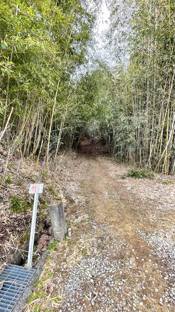 f:id:RunTazzo:20220224120856j:image