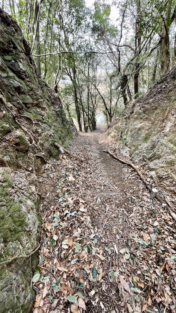 f:id:RunTazzo:20220224120903j:image