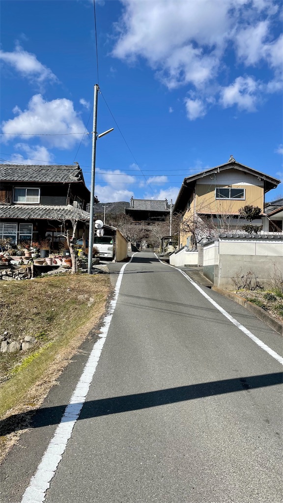 f:id:RunTazzo:20220224154628j:image