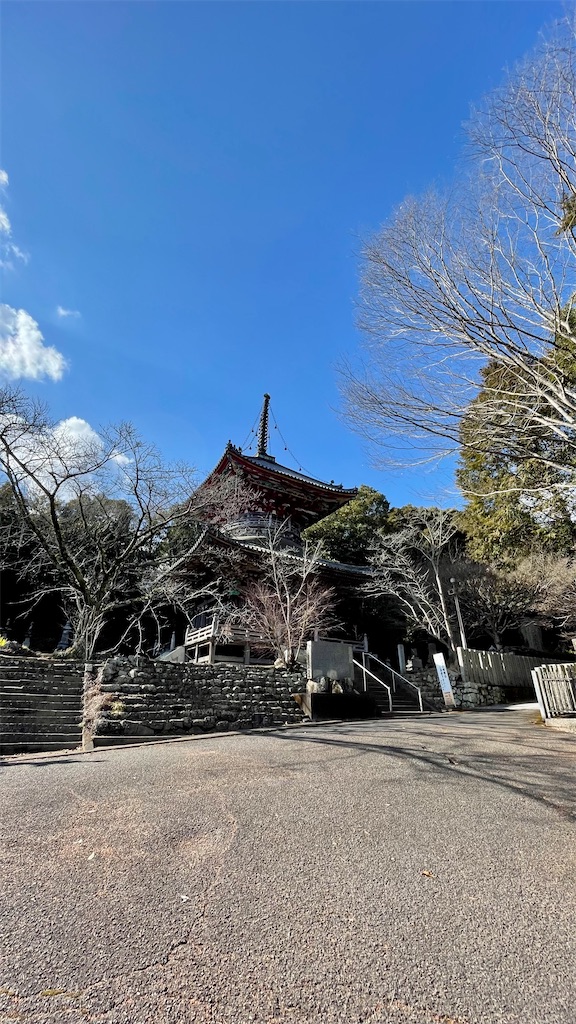 f:id:RunTazzo:20220224155300j:image