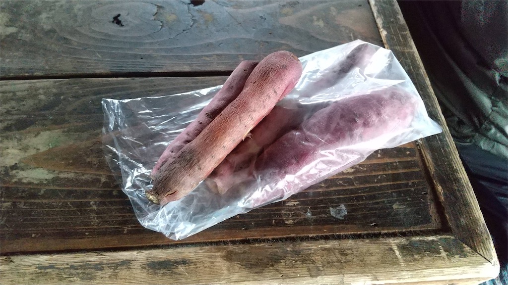 f:id:RunTazzo:20220224162454j:image