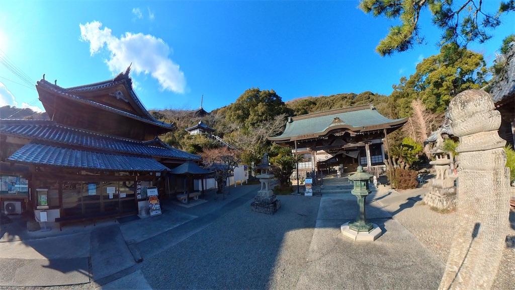 f:id:RunTazzo:20220224173651j:image