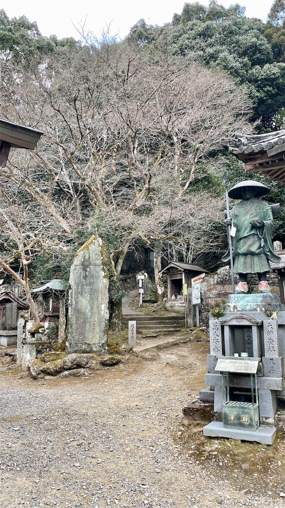 f:id:RunTazzo:20220228131953j:image