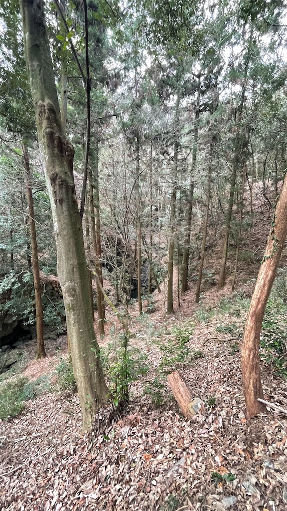 f:id:RunTazzo:20220228134248j:image