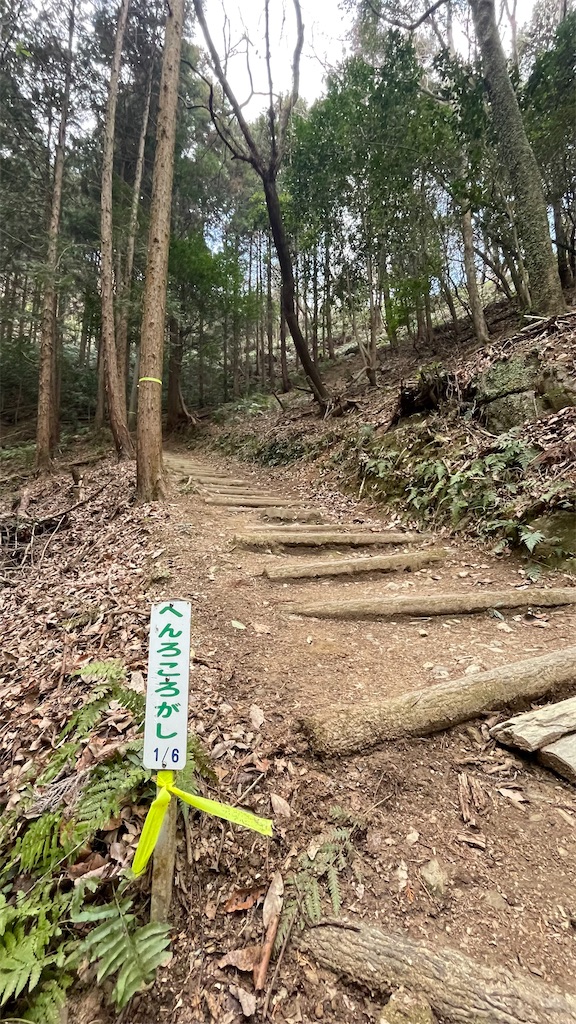 f:id:RunTazzo:20220228140555j:image