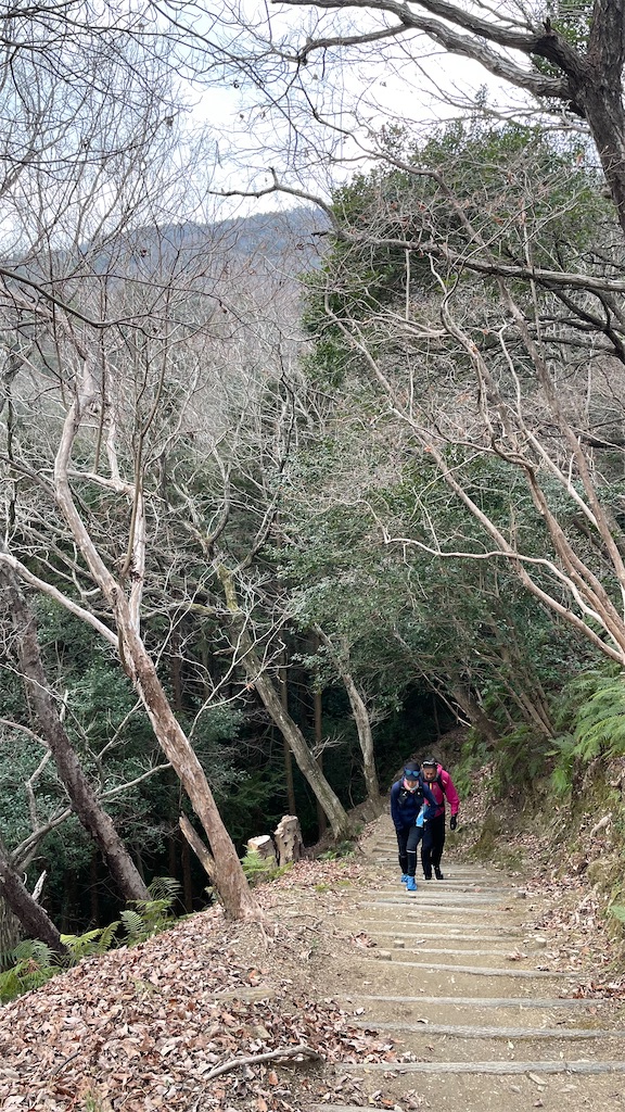 f:id:RunTazzo:20220228140753j:image