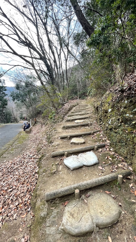 f:id:RunTazzo:20220228151716j:image