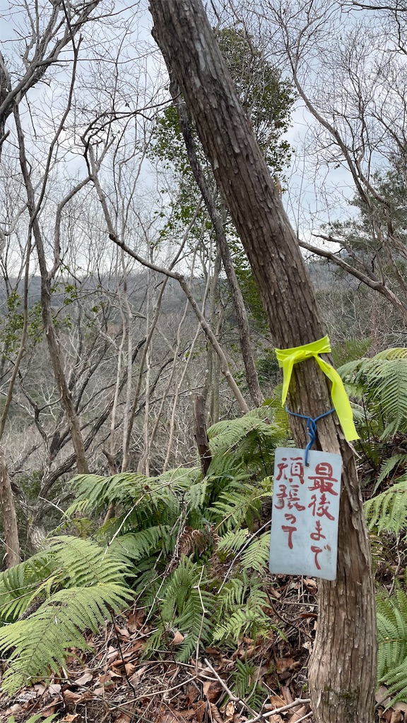 f:id:RunTazzo:20220228215744j:image