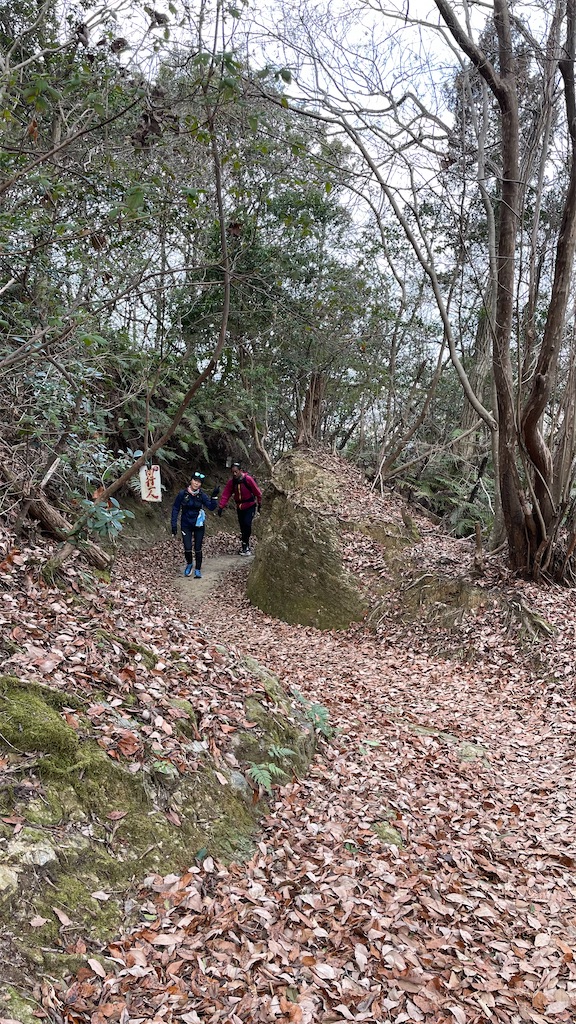 f:id:RunTazzo:20220228220948j:image