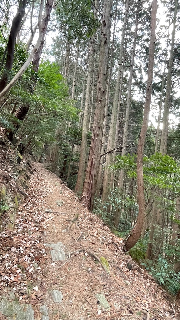 f:id:RunTazzo:20220301150351j:image