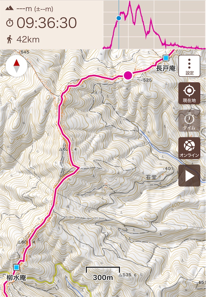 f:id:RunTazzo:20220301224110j:image