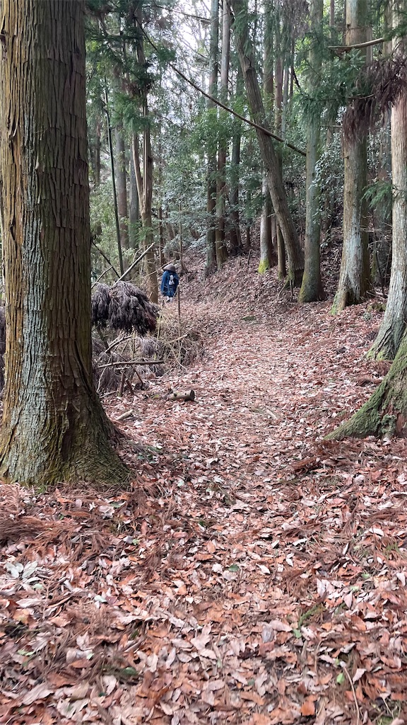 f:id:RunTazzo:20220301224534j:image