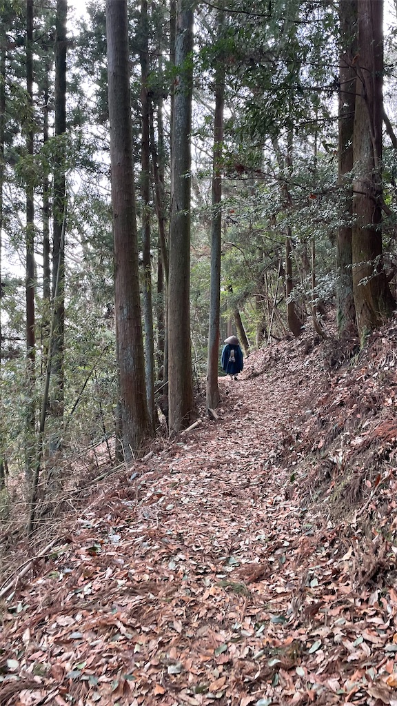 f:id:RunTazzo:20220301224823j:image